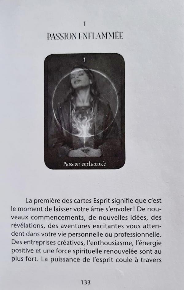 1 passion enflammee 1 le tarot psychique de john holland