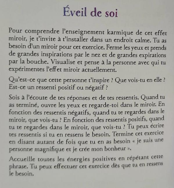 10 effet miroir l oracle des flammes jumelles et autres relations karmiques d isabelle 2