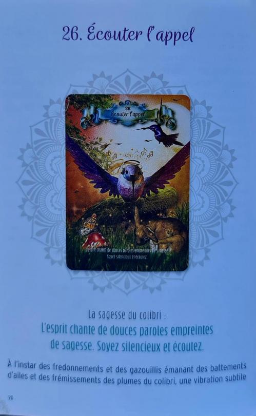 26 ecouter l appel la sagesse du colibri d de ellen valladares et yasmeen westwood 1