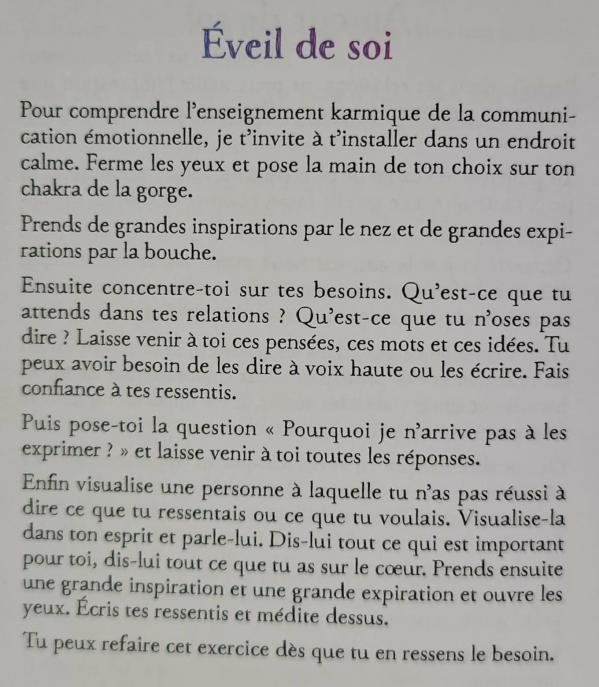 30 communication emotionnelle l oracle des flammes jumelles et autres relations karmiques d isabelle 1