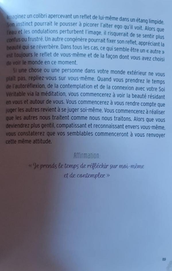 35 un etang reflechissant la sagesse du colibri d de ellen valladares et yasmeen westwood 2