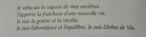 37 bois 3 le langage secret des animaux de chip richards