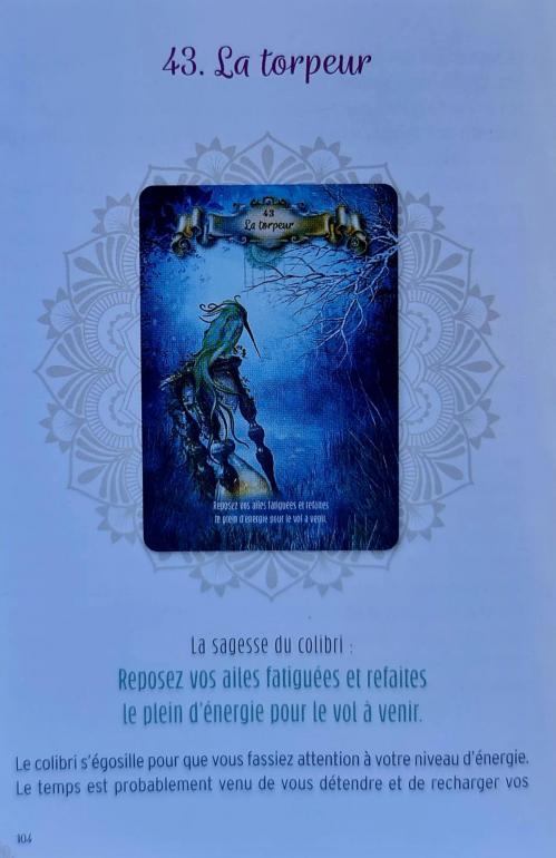 43 la torpeur la sagesse du colibri d de ellen valladares et yasmeen westwood 1