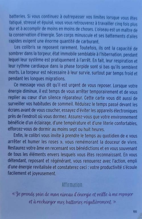 43 la torpeur la sagesse du colibri d de ellen valladares et yasmeen westwood 2