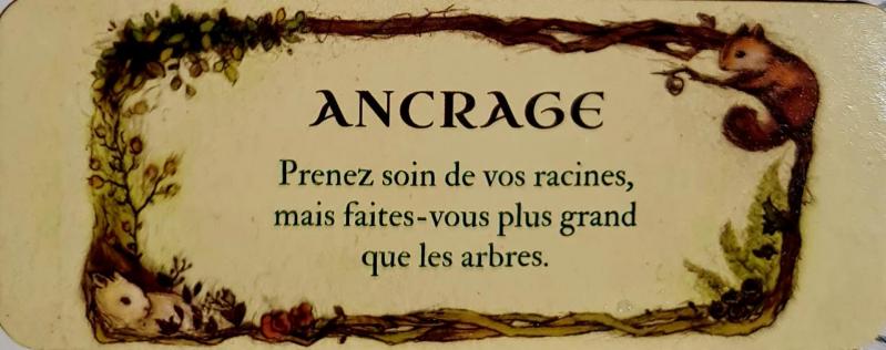 Ancrage le petit oracle de la foret de jessica le