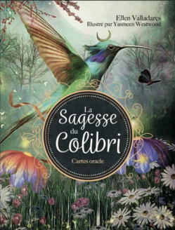 Boite la sagesse du colibri de ellen vallarades et yasmeen westwood