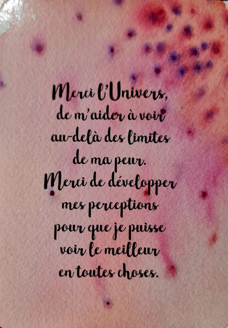 Merci l univers de m aider a l univers veille sur vous de gabrielle bernstein et illustre par micaela ezra