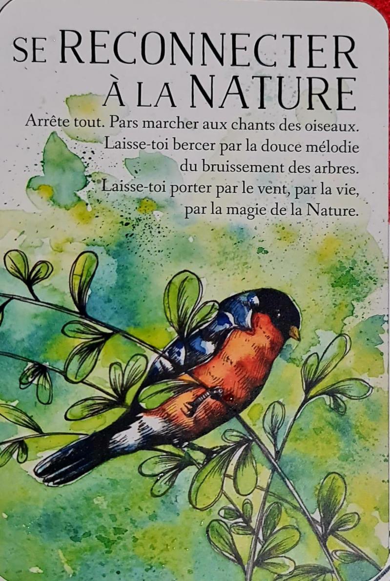 Se reconnecter a la nature l oracle des messages de ton ame de charlotte daynes et les illustrations de celia melesville