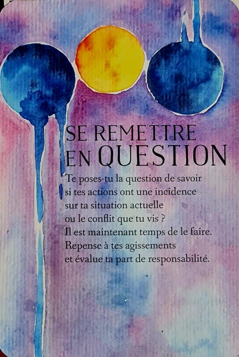 Se remettre en questionl oracle des messages de ton ame de charlotte daynes et les illustrations de celia melesville